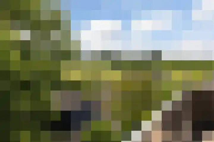 Vredenburg 78 Dordrecht thumbnail 4