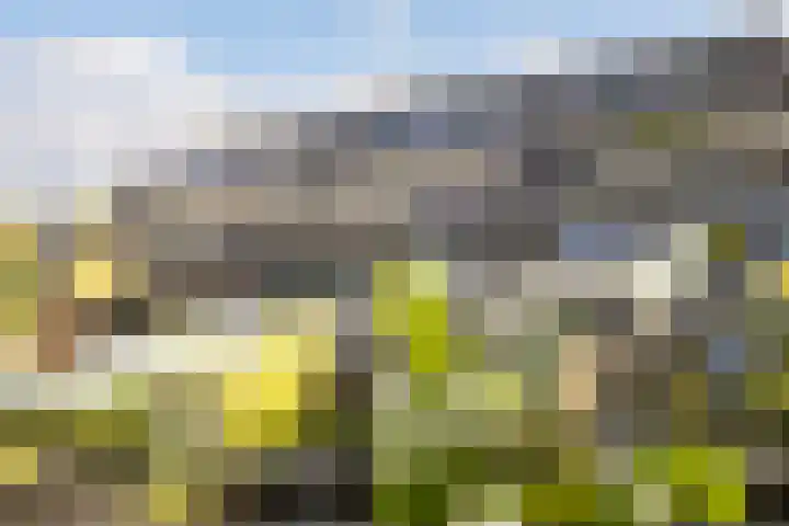 Vredenburg 78 Dordrecht thumbnail 6
