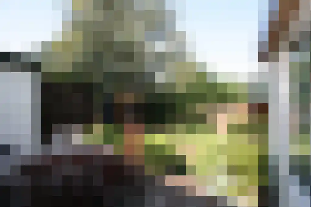 Vredenburg 8 Bergen op Zoom thumbnail 4