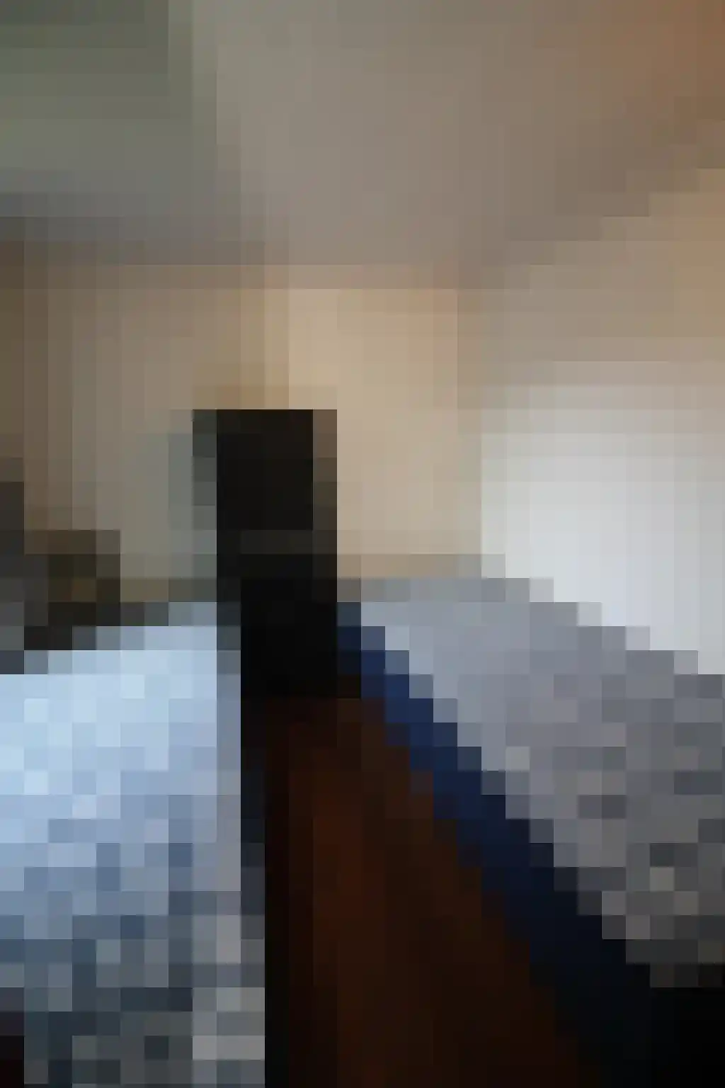 Vredenburg 8 Bergen op Zoom thumbnail 6