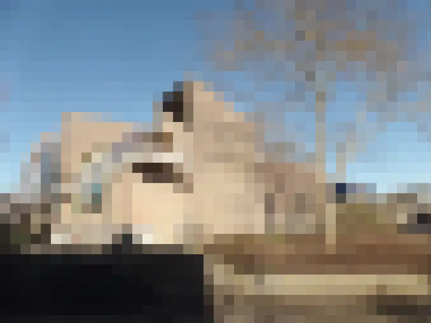 Vredenburg 82 Dordrecht thumbnail 19