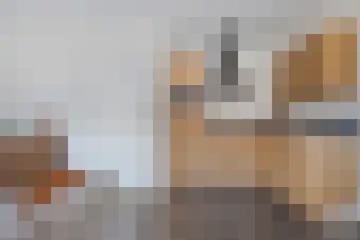 Vredenburgh 16 Oirschot thumbnail 17