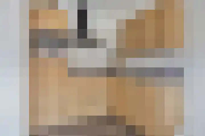 Vredenburgh 16 Oirschot thumbnail 4