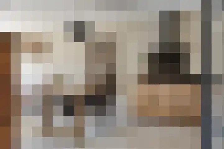 Vredenburgh 32 Oirschot thumbnail 13
