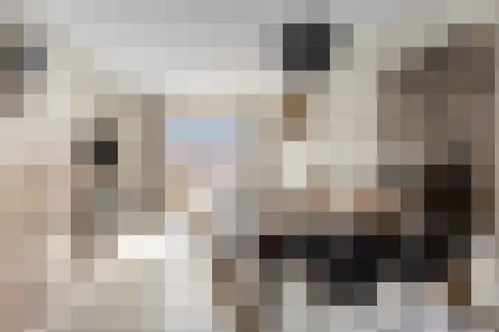 Vredenburgh 32 Oirschot thumbnail 14