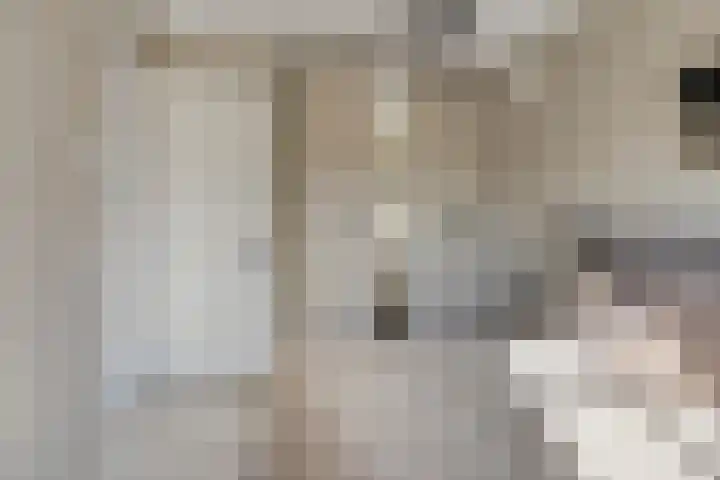 Vredenburgh 32 Oirschot thumbnail 22