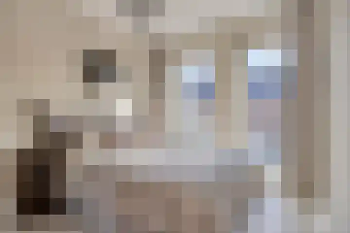Vredenburgh 32 Oirschot thumbnail 5