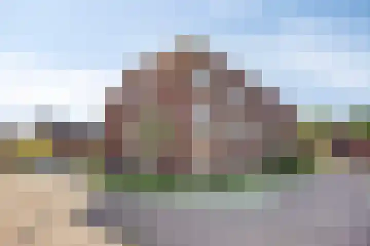 Vredenburgh 32 Oirschot thumbnail 6