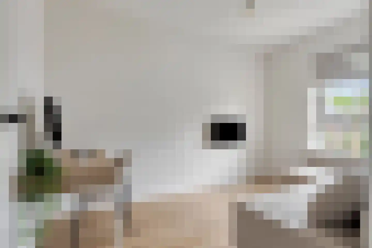 Vredenburgh 6 Oirschot thumbnail 21