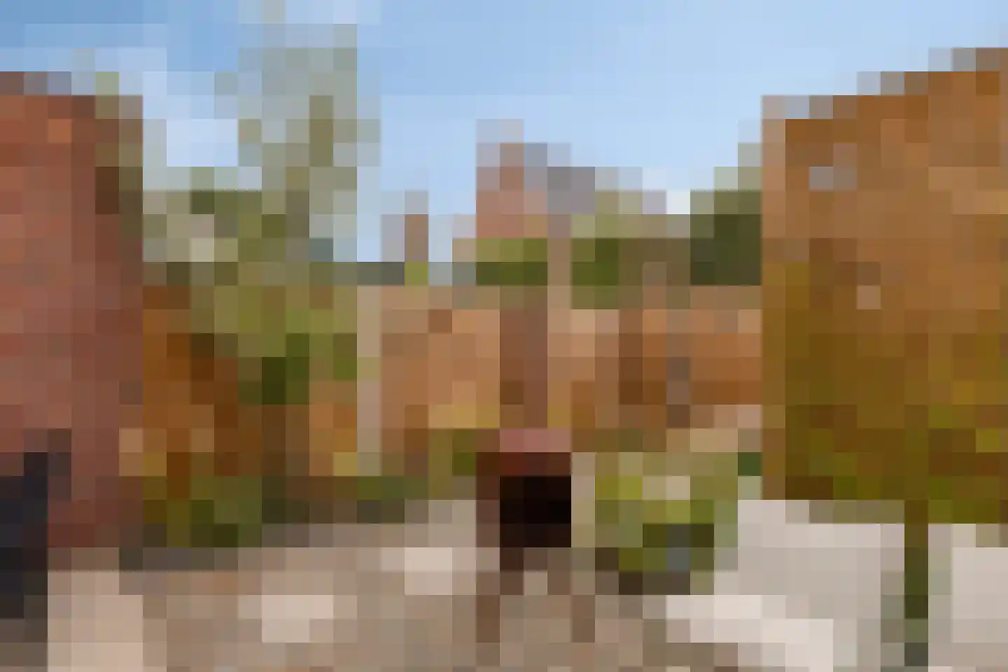 Vredenburgh 6 Oirschot thumbnail 30