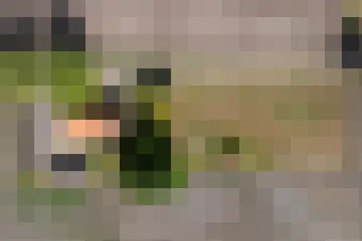 Vredenheim 5 Vredenheim thumbnail 64