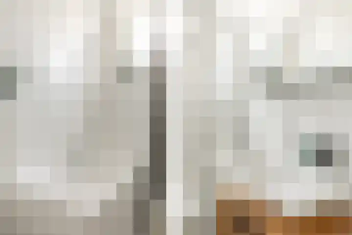 Vredenhofstraat 9 Haarlem thumbnail 23