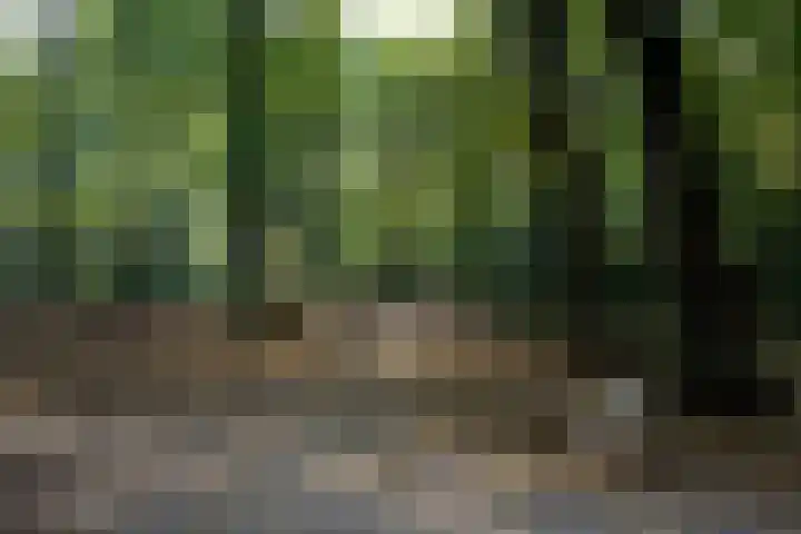 Vredenhofstraat 9 Haarlem thumbnail 38