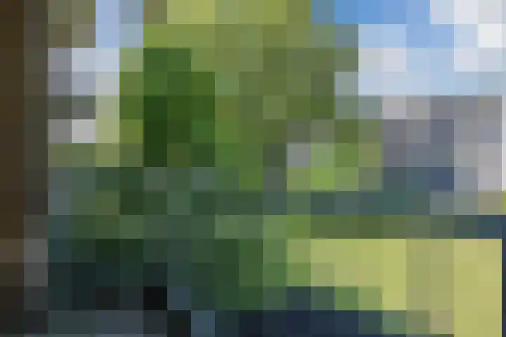 Vredenluststraat 11 Hoogeveen thumbnail 20