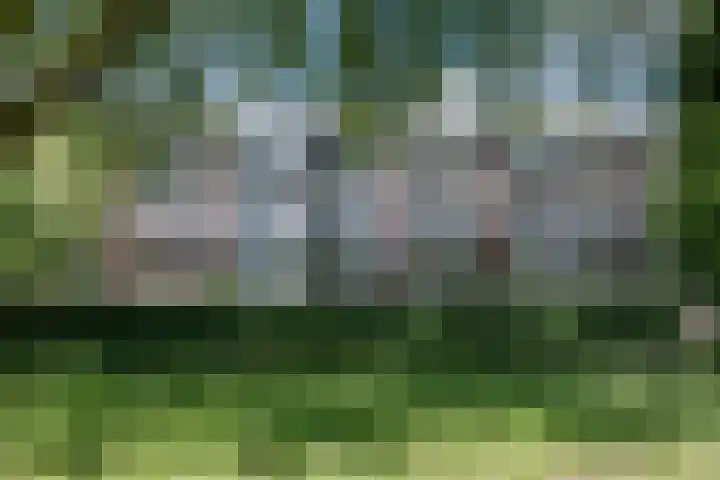 Vredenluststraat 11 Hoogeveen thumbnail 25