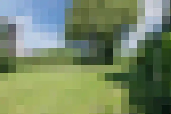 Vredenluststraat 11 Hoogeveen thumbnail 27