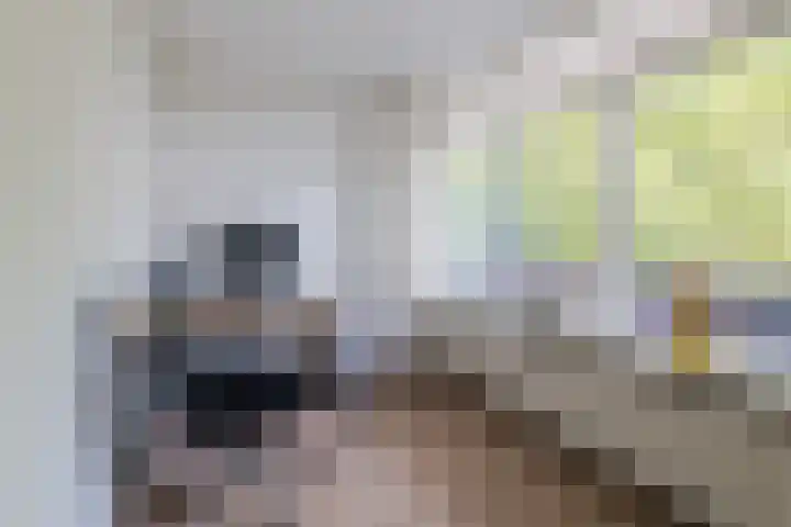 Vredenluststraat 23 Hoogeveen thumbnail 18