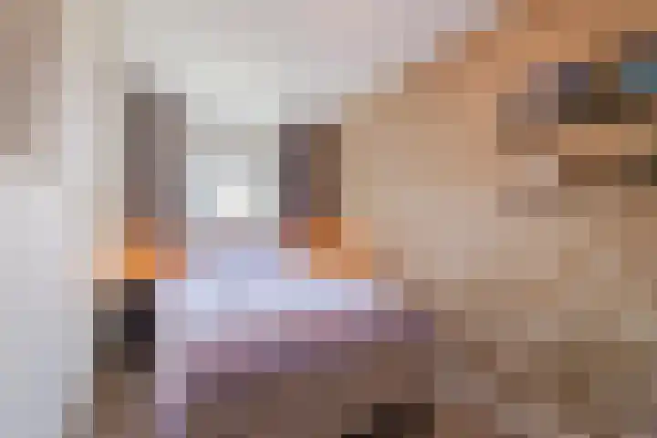 Vredenluststraat 23 Hoogeveen thumbnail 4