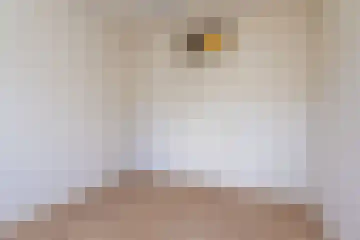 Vredenoord 101 Heiloo thumbnail 16