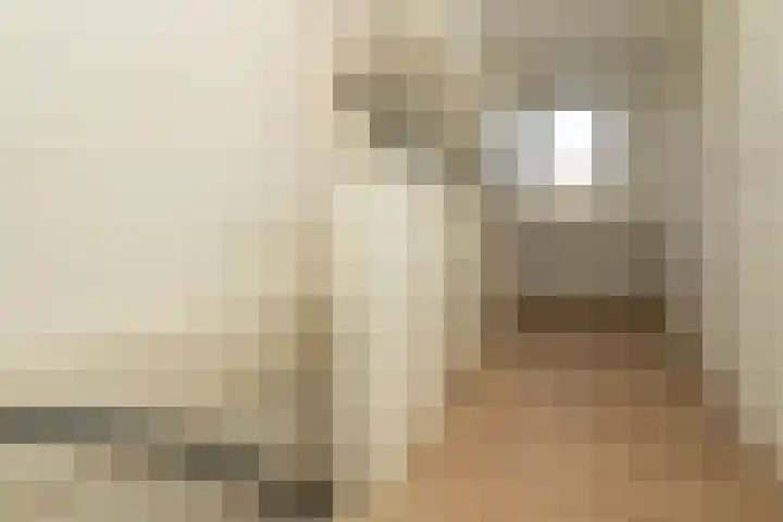 Vredenoord 101 Heiloo thumbnail 20