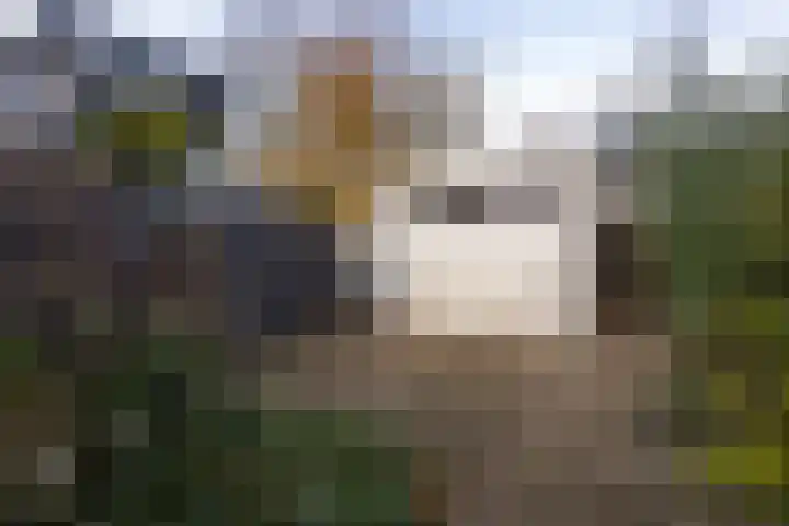 Vredenoord 101 Heiloo thumbnail 29