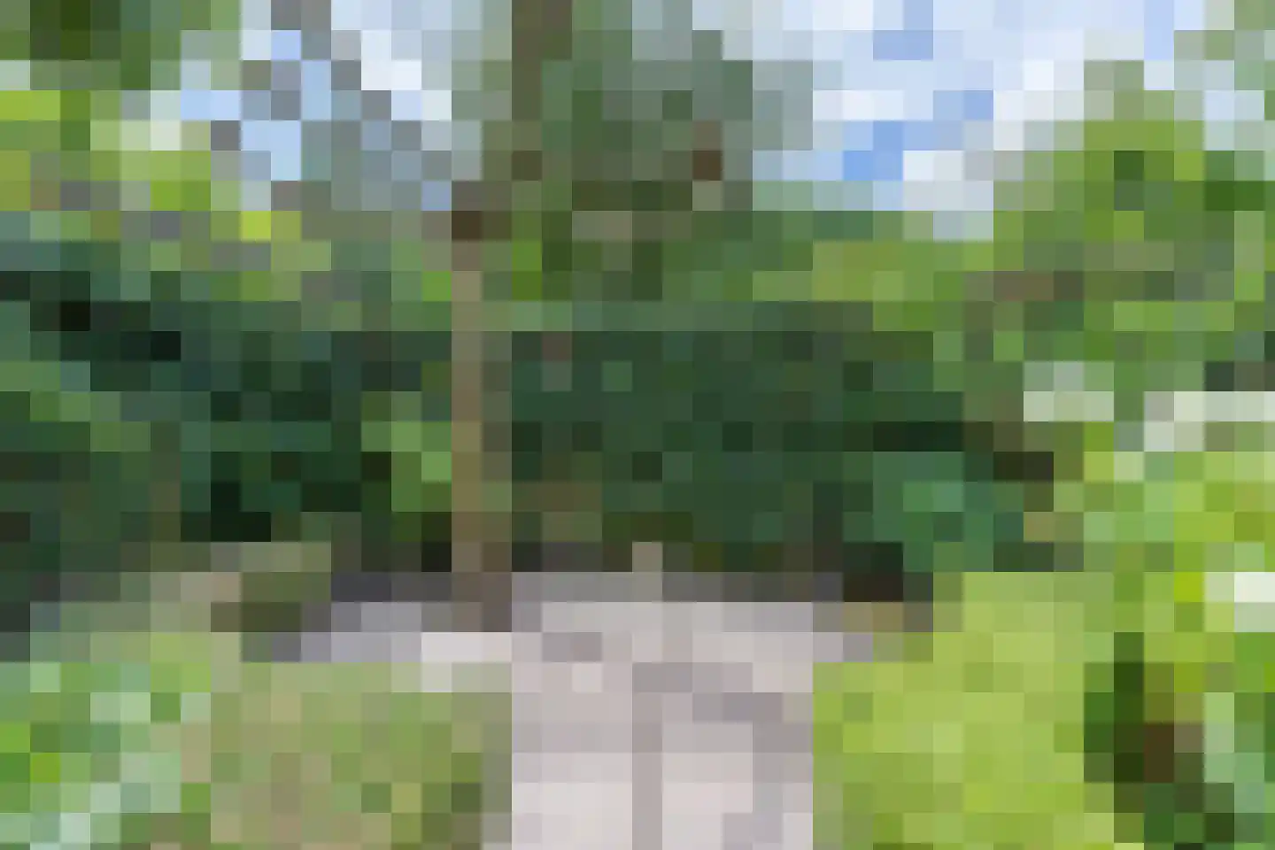 Vredenoord 12 Heiloo thumbnail 28