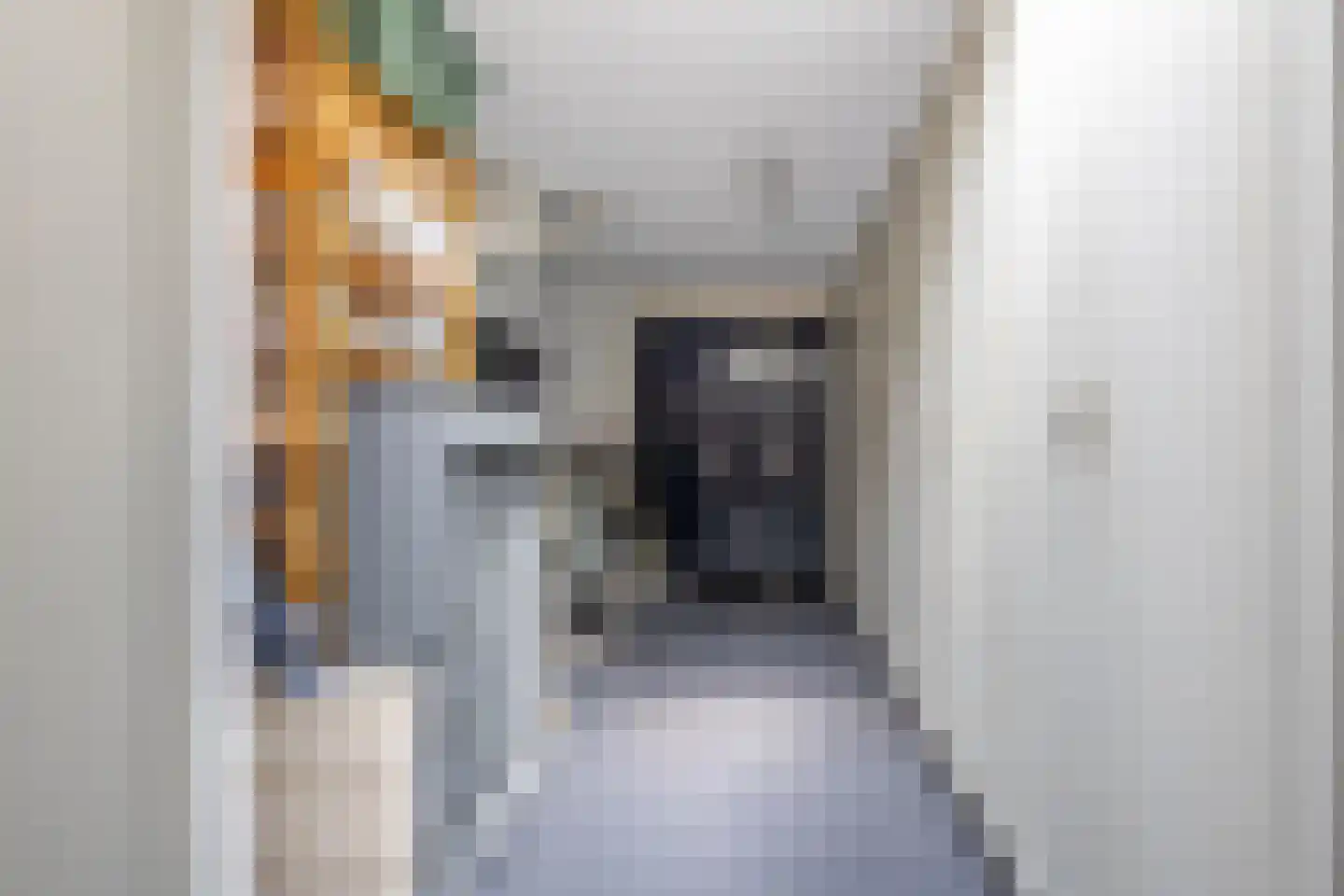 Vredenoord 12 Heiloo thumbnail 31