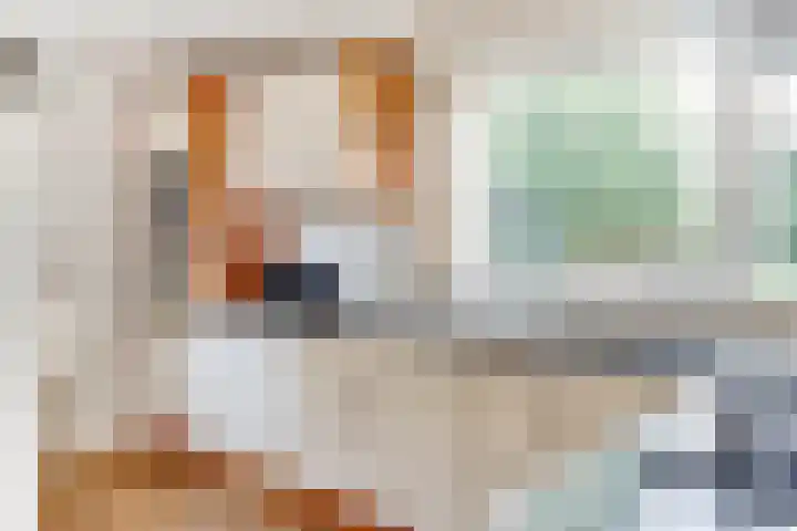 Vredenoord 20 Heiloo thumbnail 15