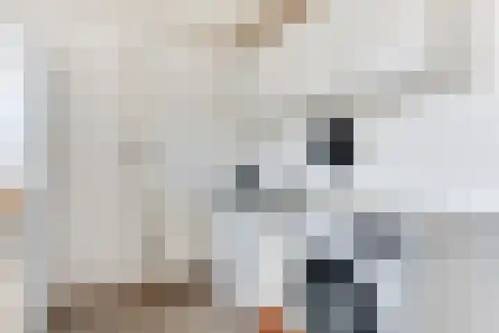 Vredenoord 20 Heiloo thumbnail 19