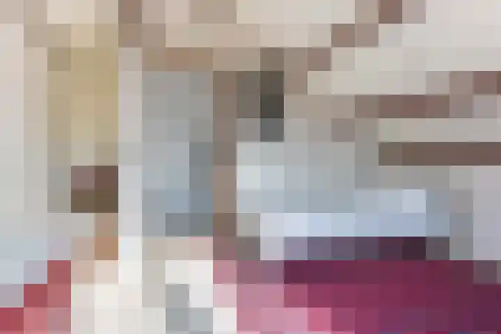 Vredenoord 20 Heiloo thumbnail 37