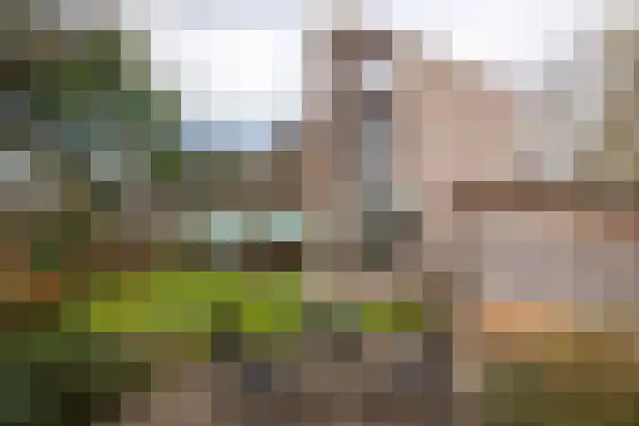 Vredenoord 20 Heiloo thumbnail 39