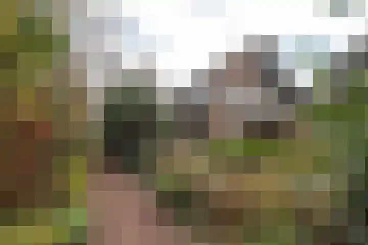 Vredenoord 20 Heiloo thumbnail 4