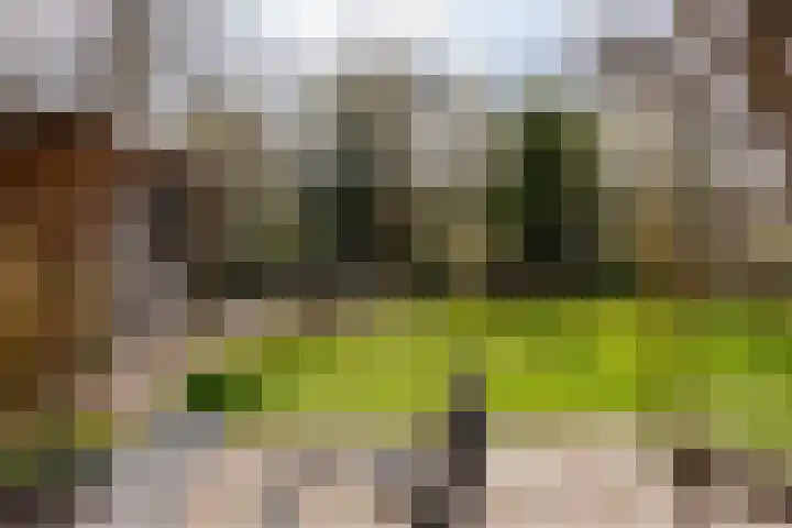 Vredenoord 20 Heiloo thumbnail 40