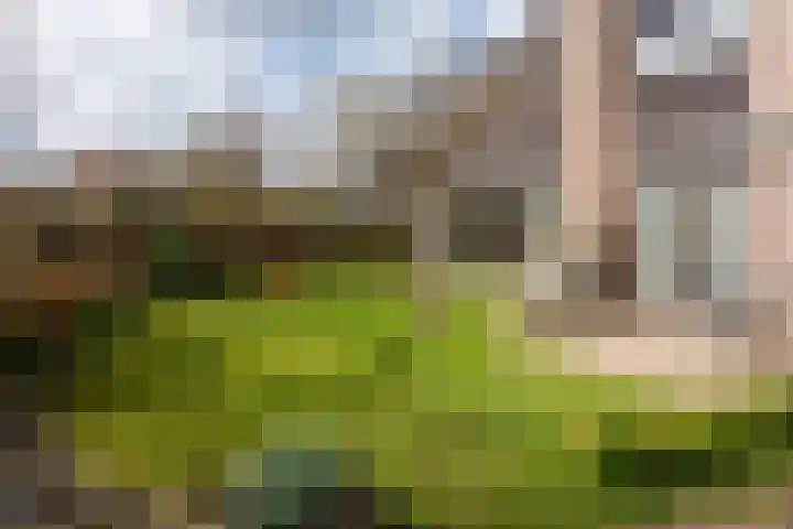 Vredenoord 20 Heiloo thumbnail 44
