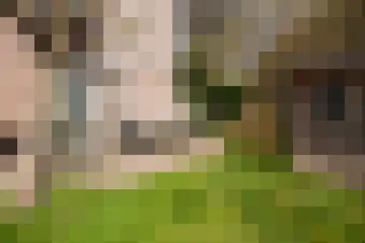 Vredenoord 20 Heiloo thumbnail 47