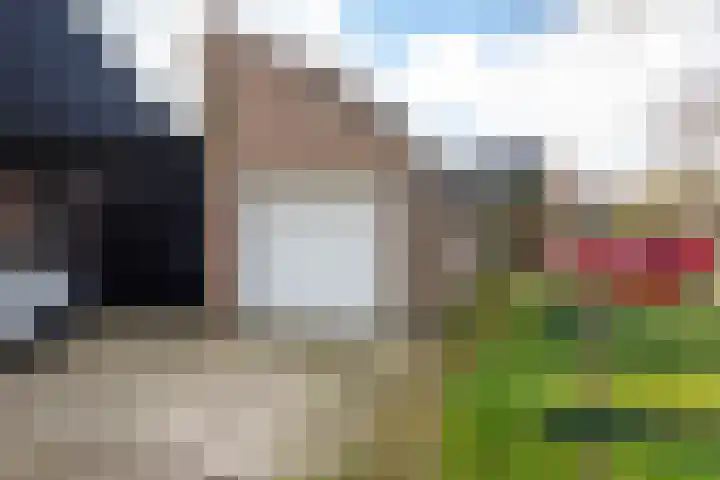 Vredenoord 20 Heiloo thumbnail 48