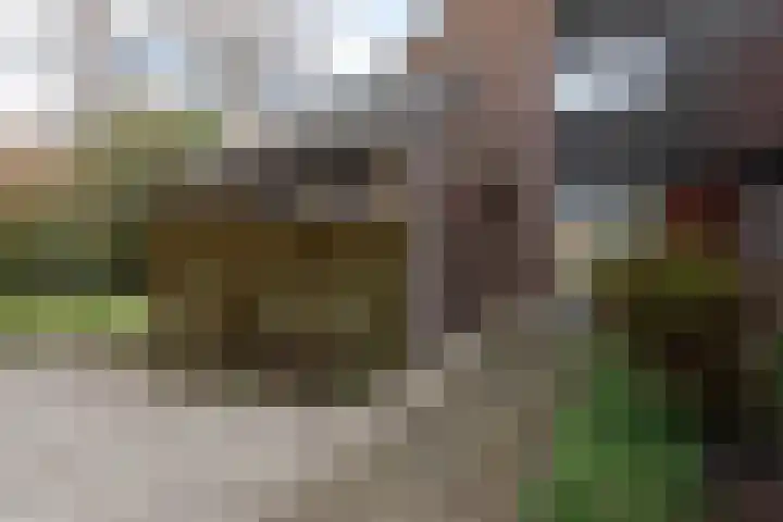 Vredenoord 20 Heiloo thumbnail 51
