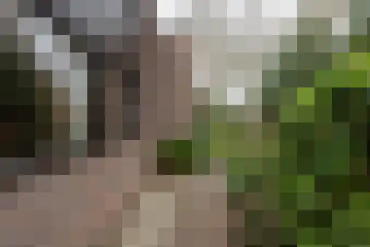 Vredenoord 20 Heiloo thumbnail 53