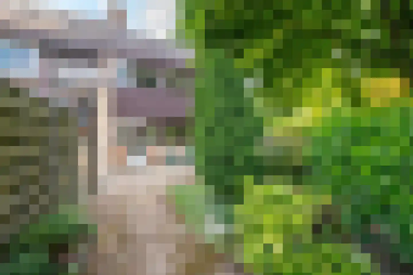 Vredenoord 50 Heiloo thumbnail 36