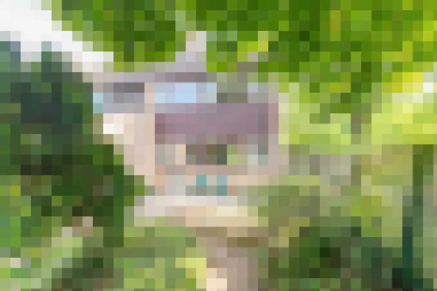 Vredenoord 50 Heiloo thumbnail 37