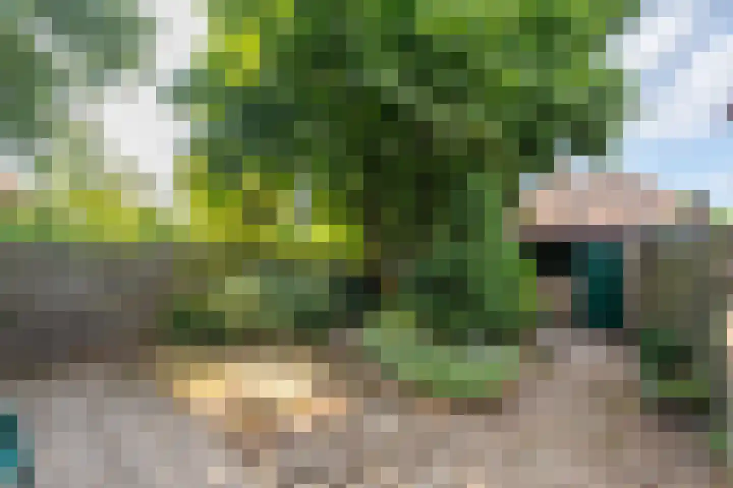 Vredenoord 50 Heiloo thumbnail 4