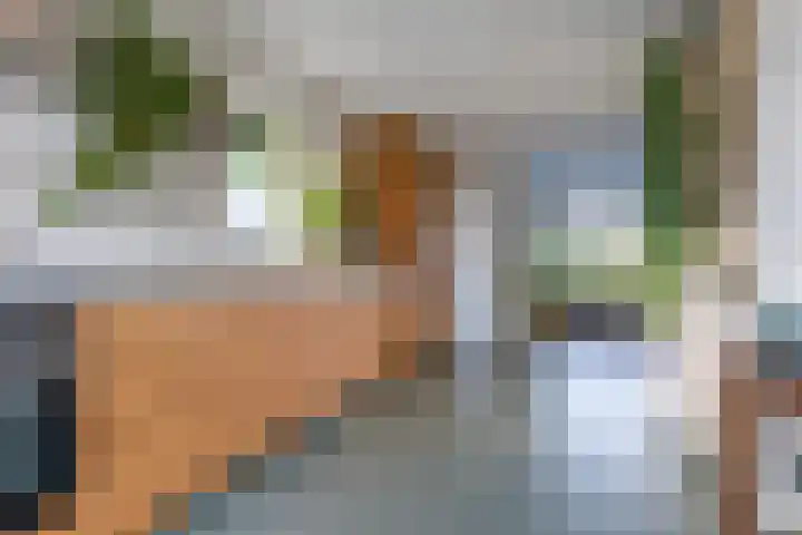 Vredenoord 66 Heiloo thumbnail 12