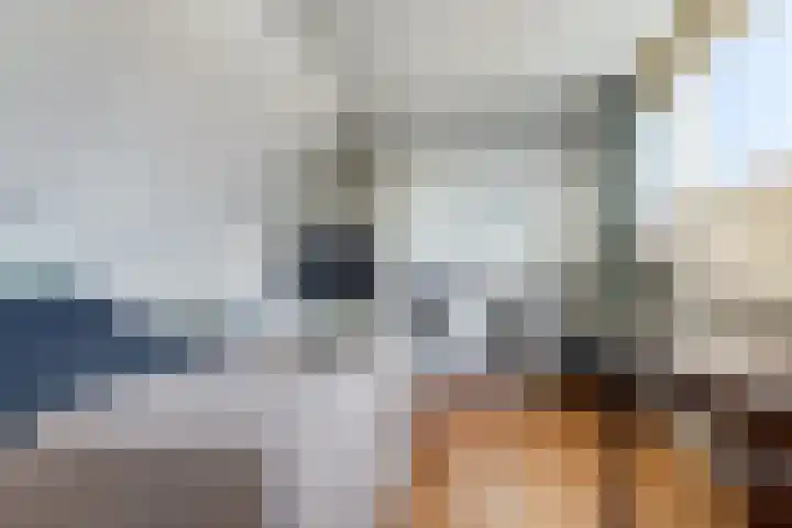 Vredenoord 66 Heiloo thumbnail 30