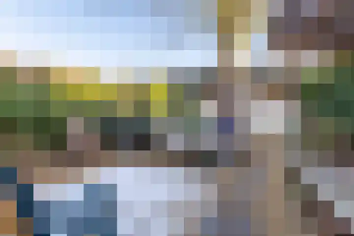 Vredenoord 66 Heiloo thumbnail 33