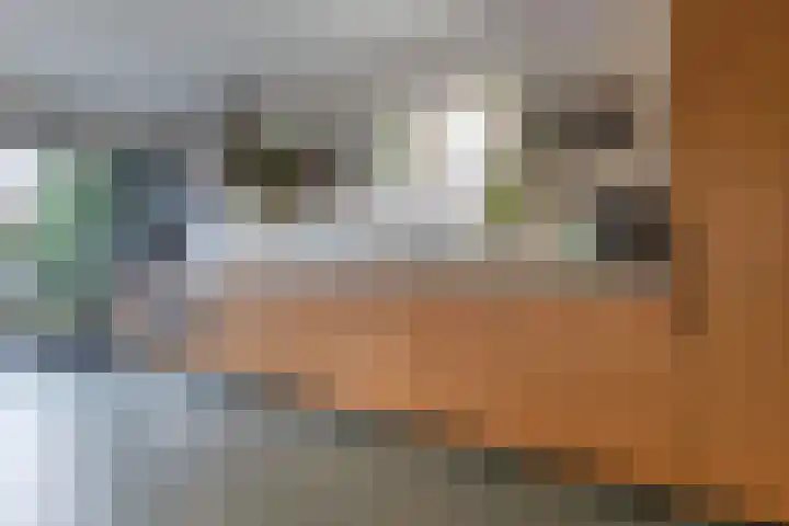 Vredenoord 66 Heiloo thumbnail 4