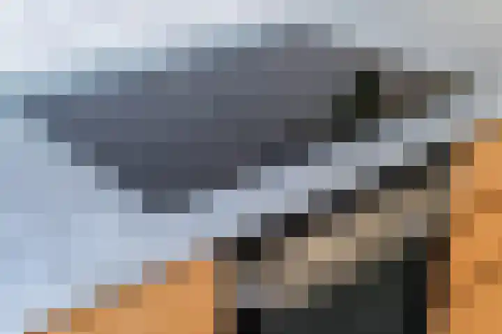 Vredenoord 66 Heiloo thumbnail 6