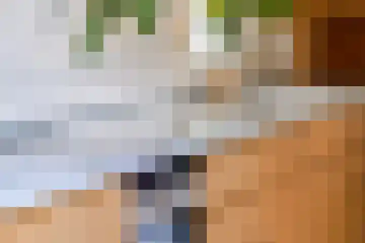 Vredenoord 66 Heiloo thumbnail 7