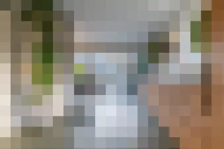 Vredenoord 66 Heiloo thumbnail 8