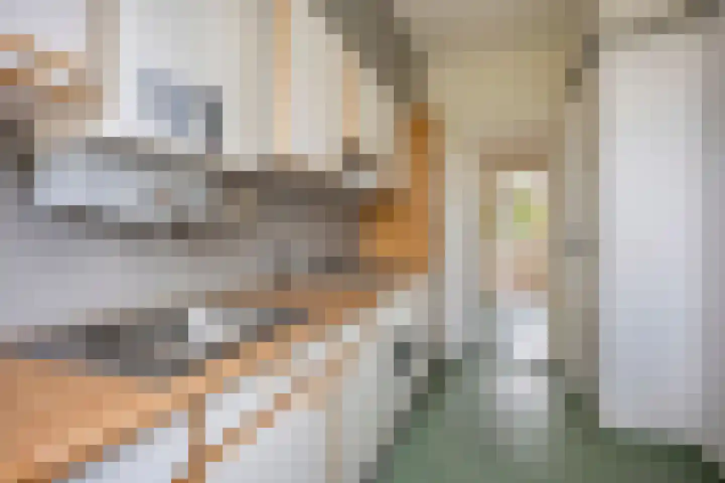Vredenoordlaan 14 B Rotterdam thumbnail 28