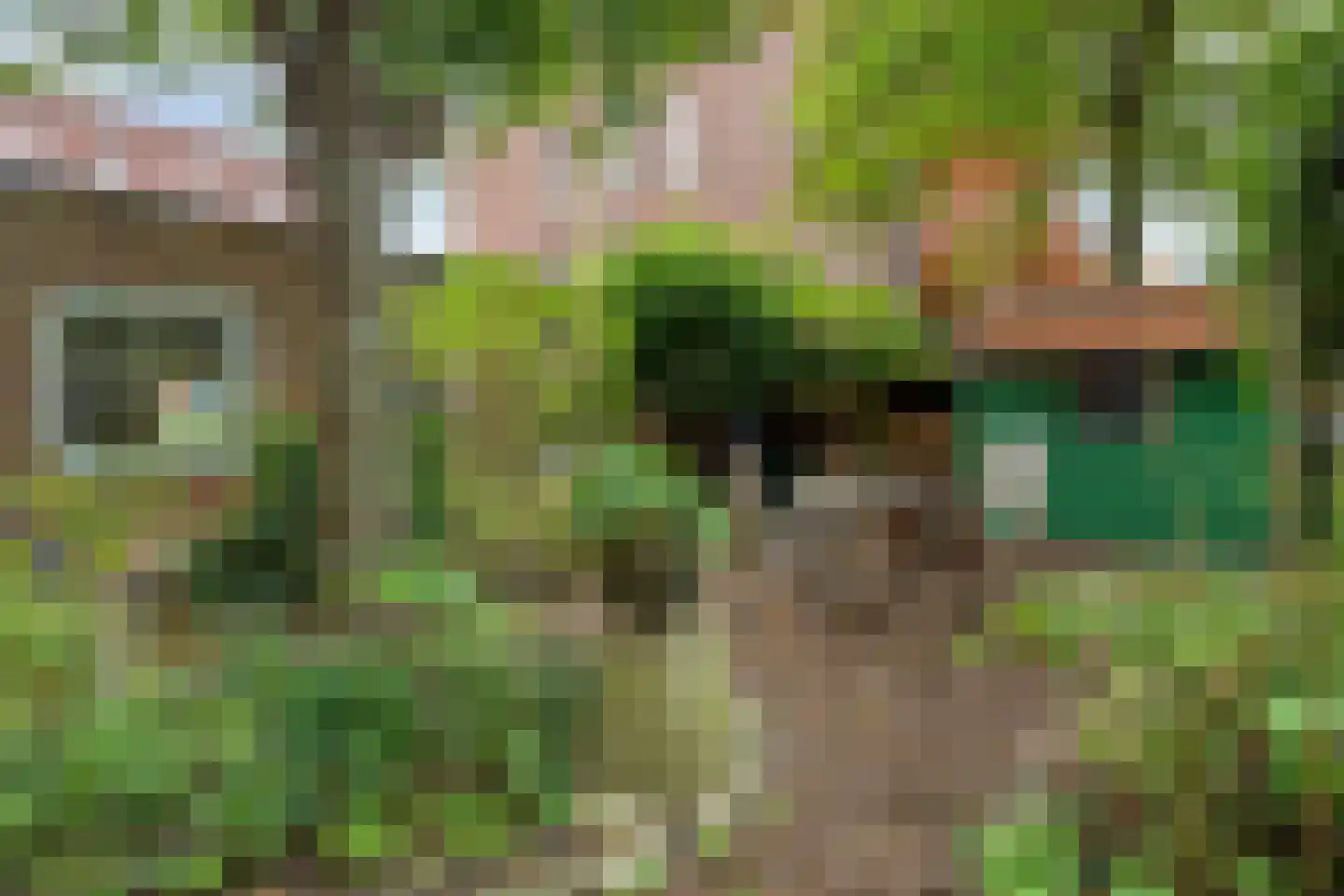 Vredenoordlaan 14 B Rotterdam thumbnail 31